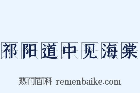 祁阳道中见海棠是什么意思的图片